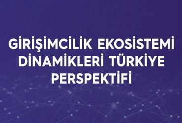Girişimcilik Ekosistemi Dinamikleri Türkiye Perspektifi